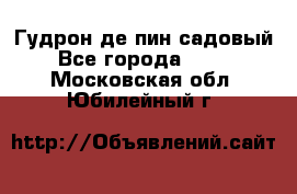 Гудрон де пин садовый - Все города  »    . Московская обл.,Юбилейный г.